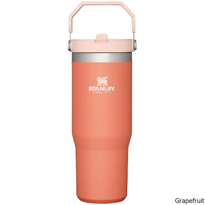 Stanley IceFlow Flip Straw 30 Oz. Vacuum Insulated Tumbler - Image 6