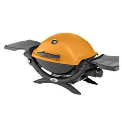 Weber Q 1200 Portable Gas Grill